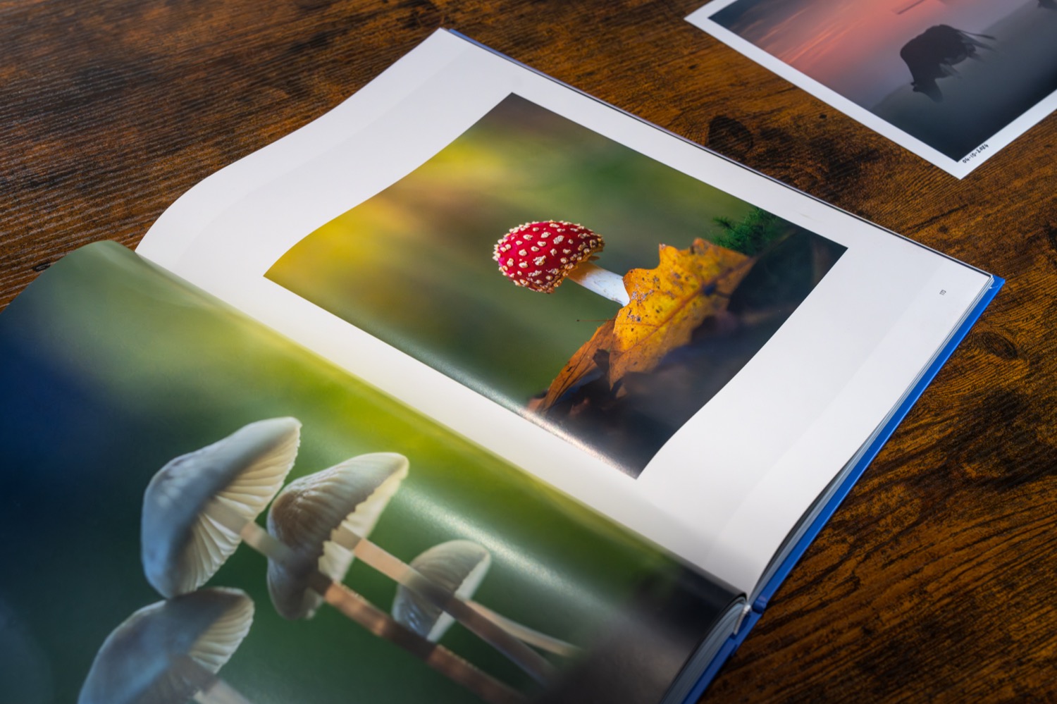 Book spread