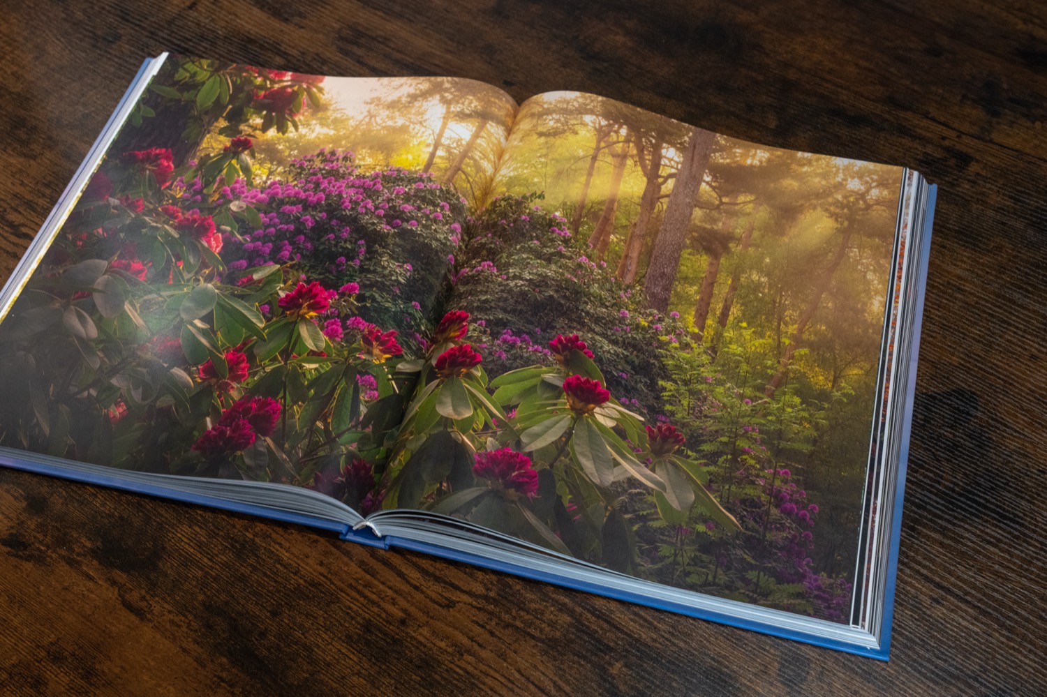 The book as a gift